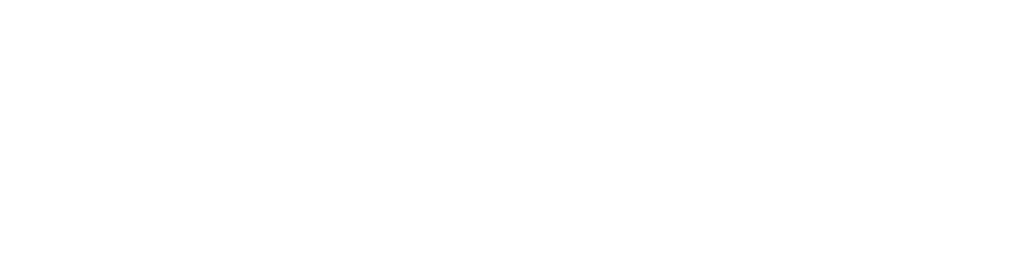 Live University · Ibramerc